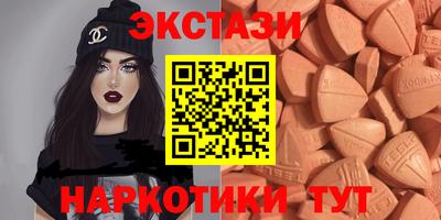 крисы Кингисепп