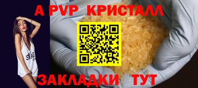 крисы Кингисепп