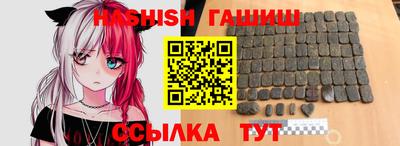 крисы Кингисепп