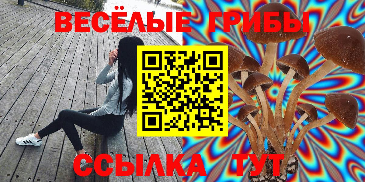 Псилоцибиновые грибы прущие грибы Черногорск