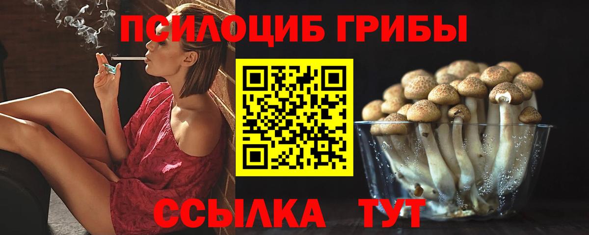 Черногорск  Псилоцибиновые грибы MAGIC MUSHROOMS  где продают наркотики  Вход с VPN 